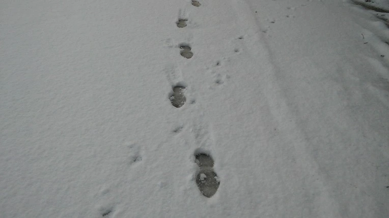 21223B4056D10AF2320D66