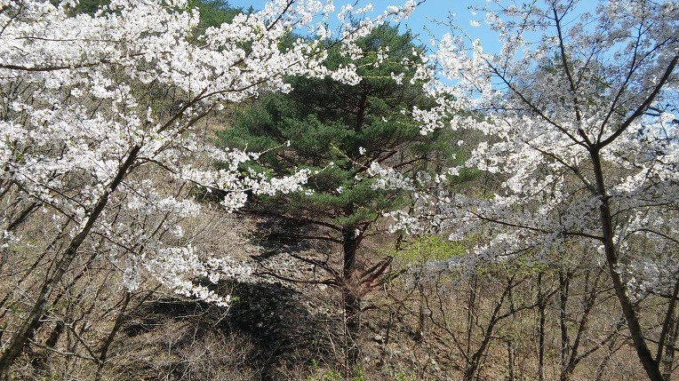 2559784458F7E01F18DC67