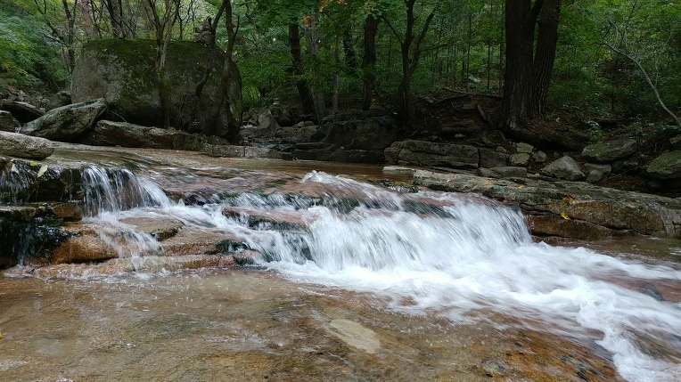 99DDDA485D9ACD8B2BE72A