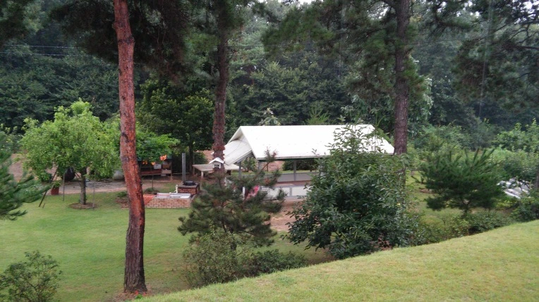 2550D23357BFDEDA04F10B