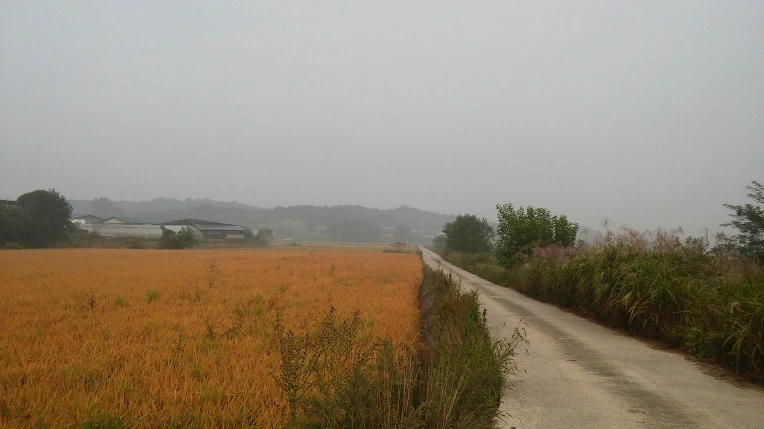 247D794957E701ED165C47