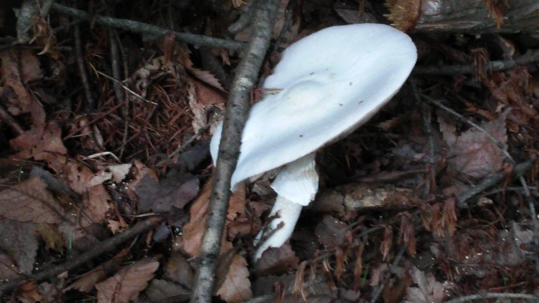 2575224655E1430022BF9D