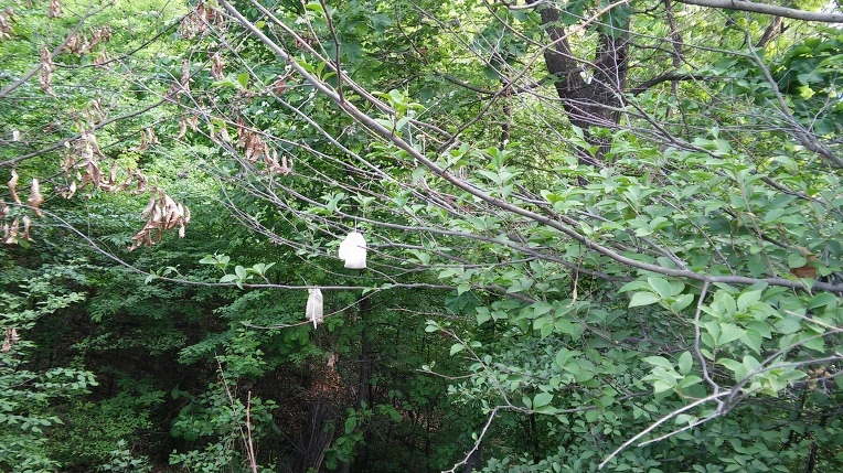 22578C4E57269785361834