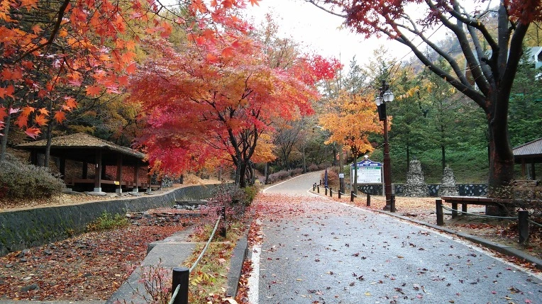 214A6F37563D847E11EC0C