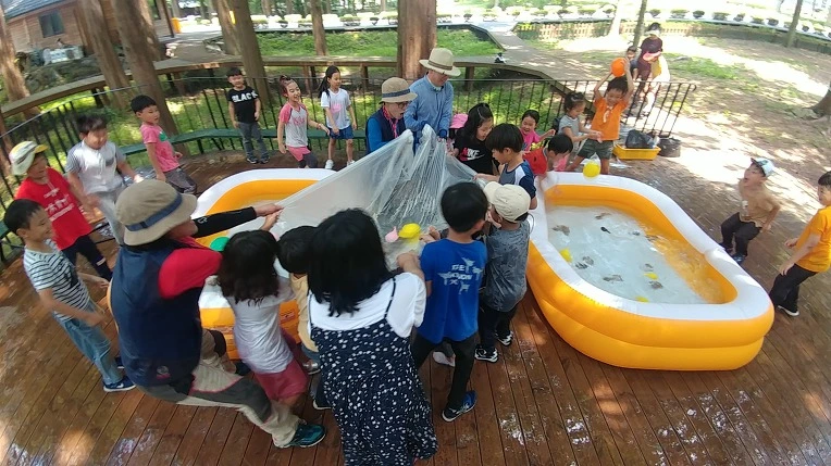 99E770395B57C12C14DDEE