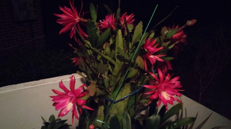 2756FD40574590AB4104D2