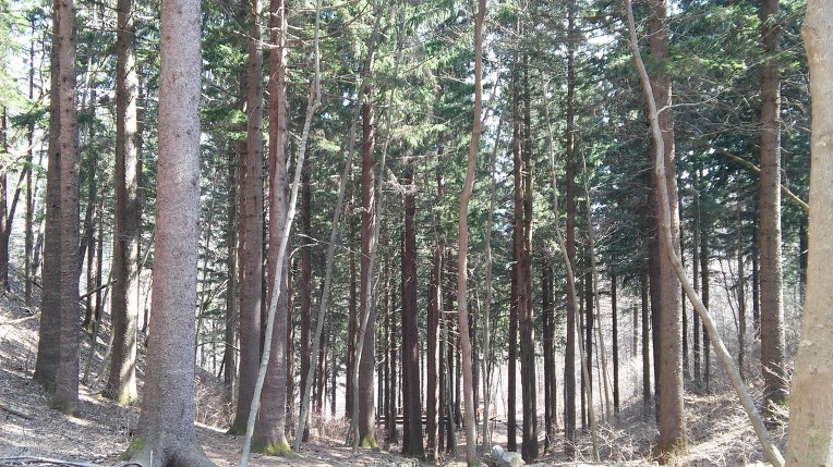 24059B3356F77588222E19