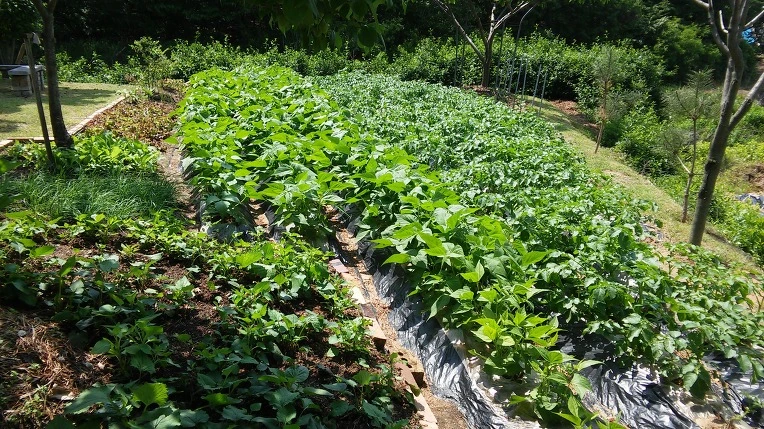 237B6433573A59DC317BAA