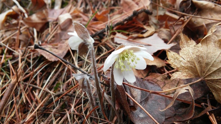 2163303B58E5DE441D7EFB