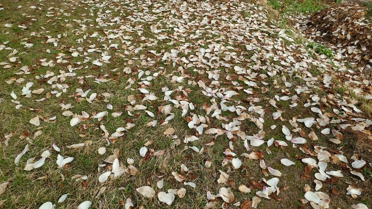 99A559485CF612EE30B1CB