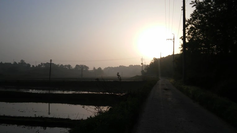 26508637572E66BF19A6CE