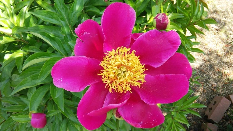 2633FD33573A59E408E66B