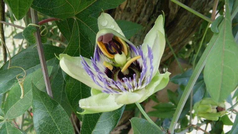 2217F33A57BD0F5024CEEC