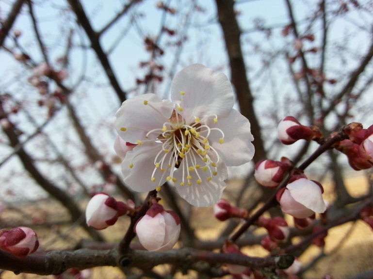 220ABA3E533A754E2785C4