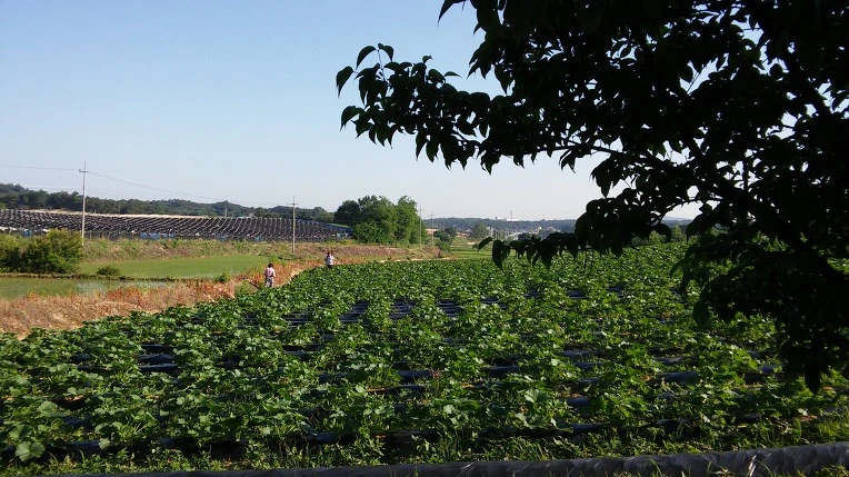 22497938574FC0D9035761