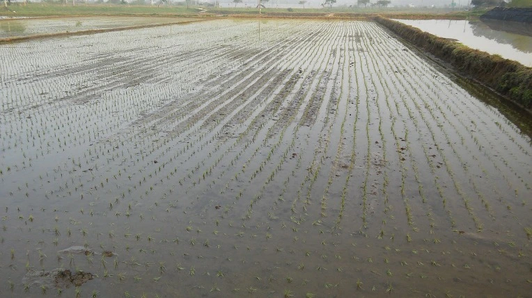 274B7837572E66C81C1E4D