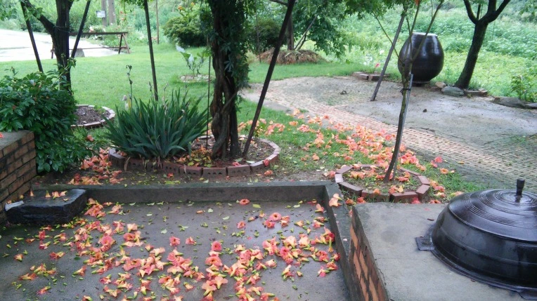 222D513C577B38F12DAEE0