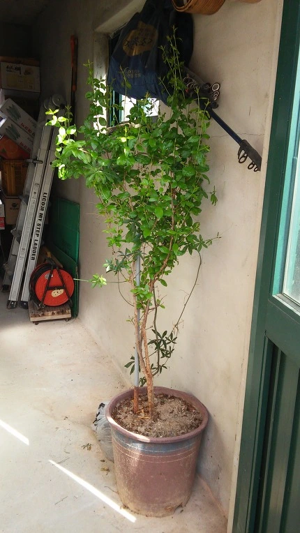 270F604156FC8D1330D8D1