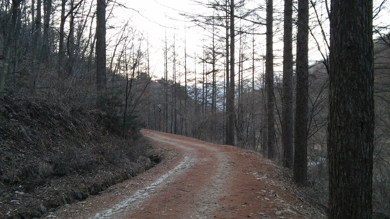 2174A44D56DA7C1B0E668C