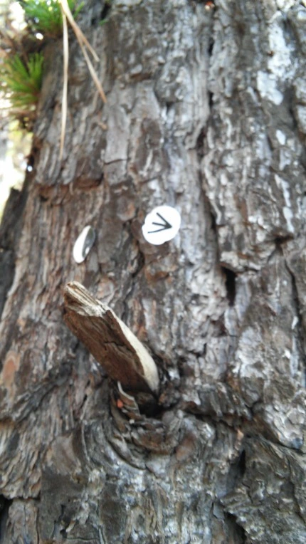 260349425621FF7112BEE5