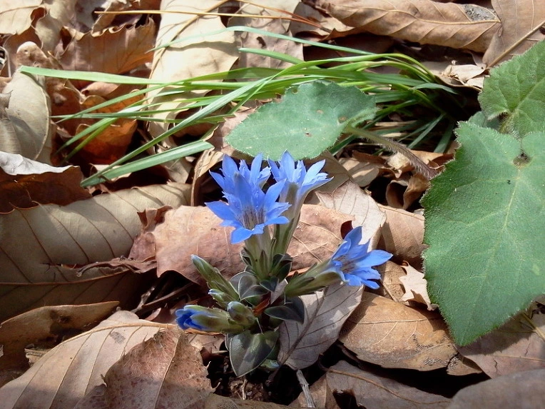 186209414DBF9FCC045B36