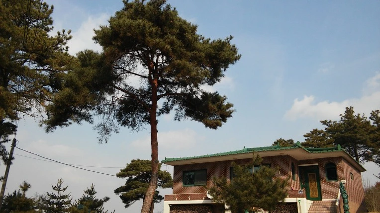 2673603956B307650D3DC6