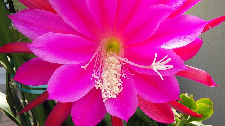 2717AA37575B89012617D8