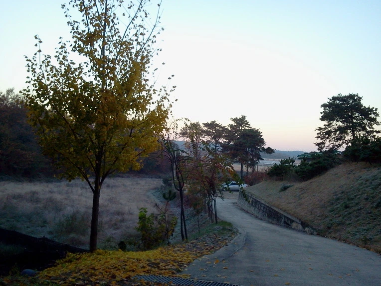 1933EC3F5093662D14BCF0