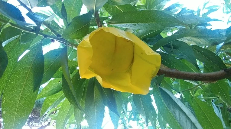 9968BA365B6F79B20BB322