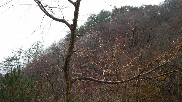 254EE63558DF02761FB1ED