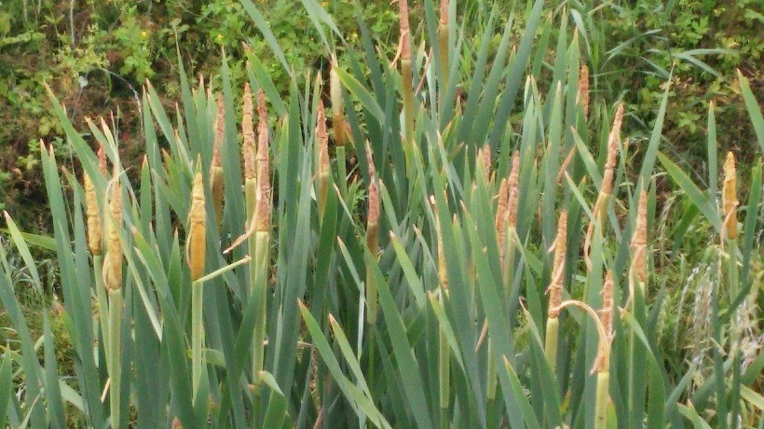 2428F547575E529C211957