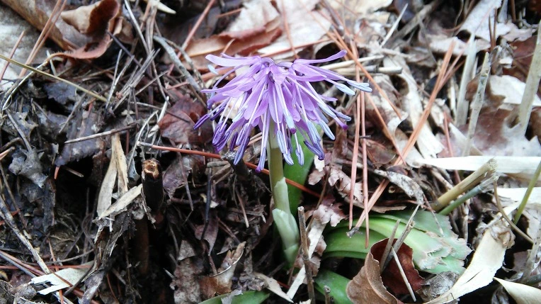 26730B3B58E5DE4F1C1F5B