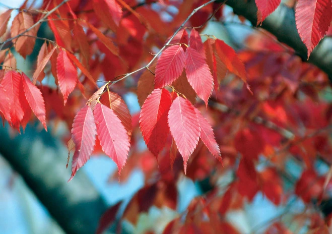 ?fname=http%3A%2F%2Ft1.daumcdn.net%2Fencyclop%2Fm41%2FcEXZYuaaPK2JEjXc54yYteejV6MFnBi6qmTyfWjD%3Ft%3D1425370343000%3Ft%3D1468454400000