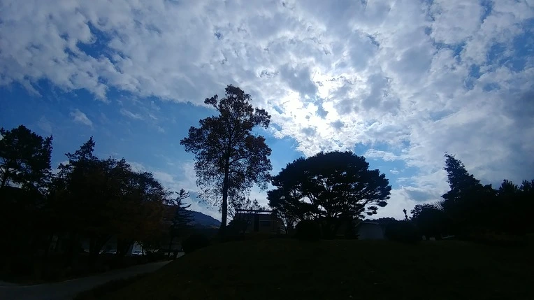 993BA0405BD6AD35374E91