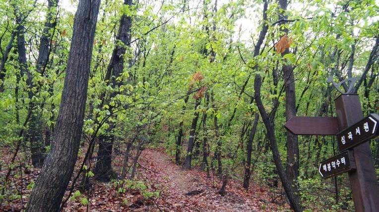 241C8B4E5712CCAC33625D