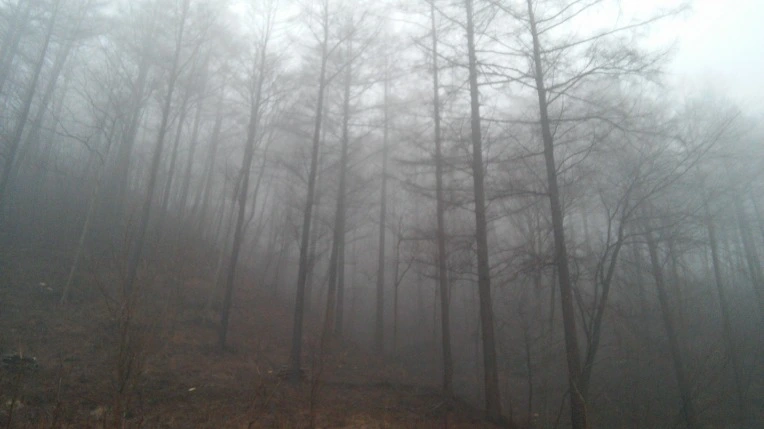 2164324D56DA7C181CA213