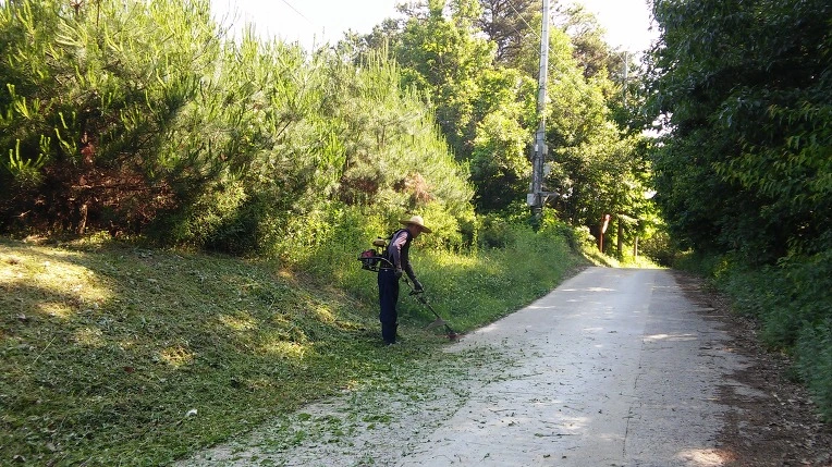 26168438574FC0DE32311F