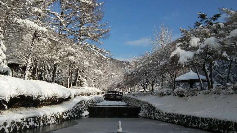 2477FF3F566121523AEE08