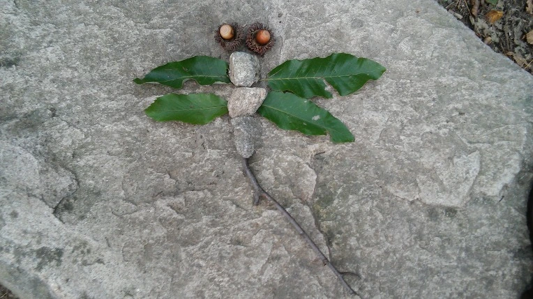 2104EC40560FBBF92D1D6F