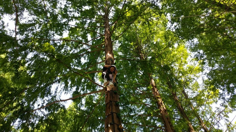 99DAFB415B57BFA9124936