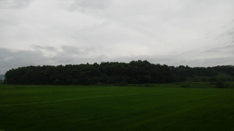 2743C349577B396925C462