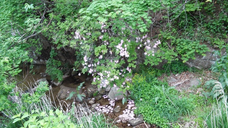 273F984759155DC32CC0C4