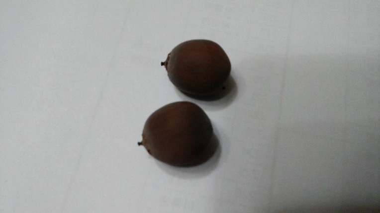 242A4B4D56A9E9C52F5F01