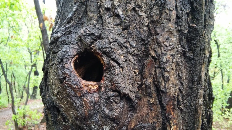 262F764A5712CDAE31B1BB