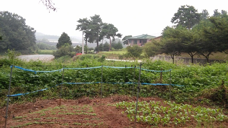 2468074D57D5E25E2CC041