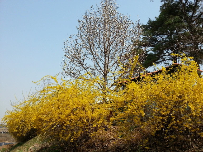 26183D40533A746F184EEB