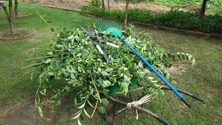 23549333578C5C351AC20E