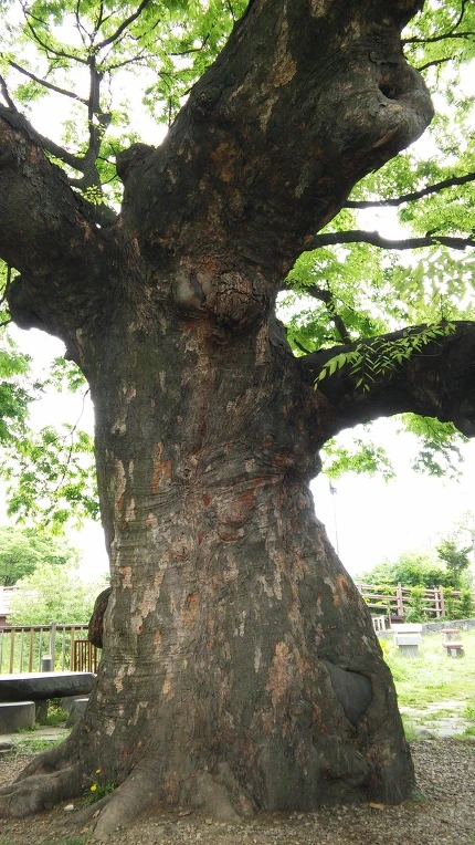 2611D649572561C50E4A27