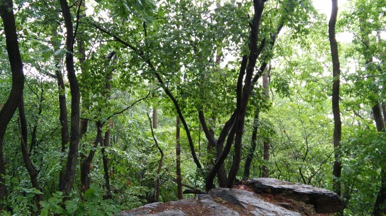 23056C4A5731183A247250