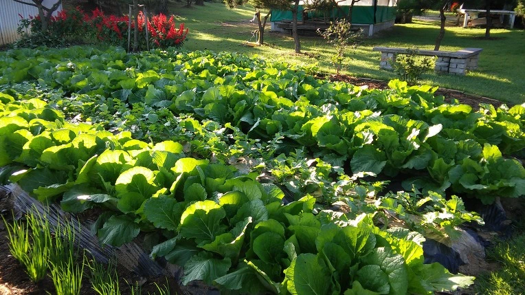 226F9F3957E3A31E2D1BD3